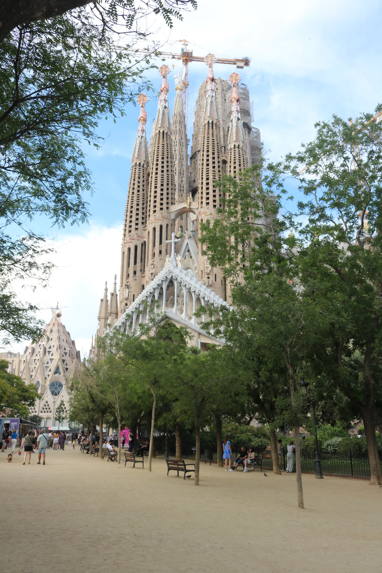 The Sagrada Família rising above trees in Barcelona