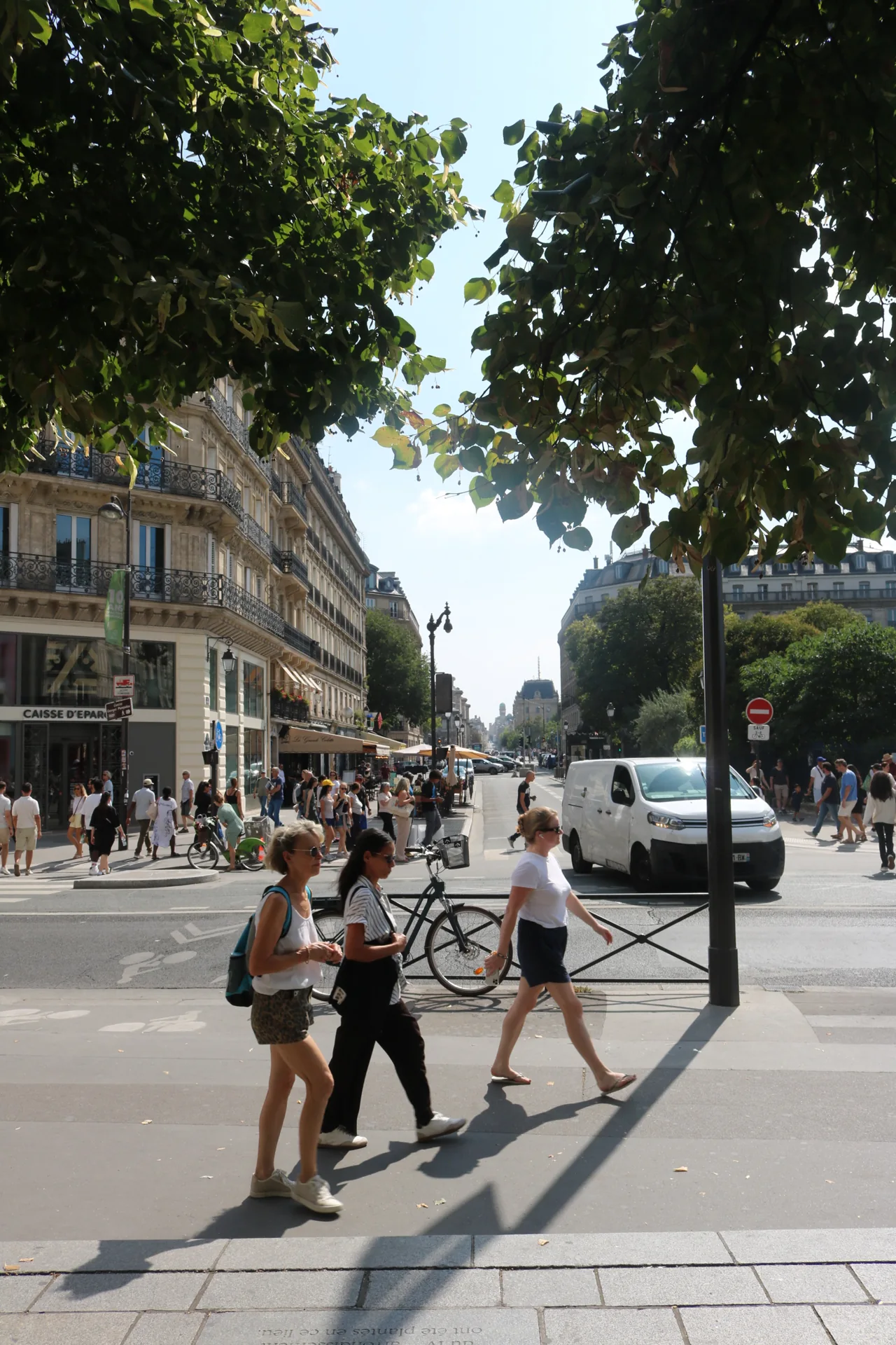 People crossing a tree-lined Paris street